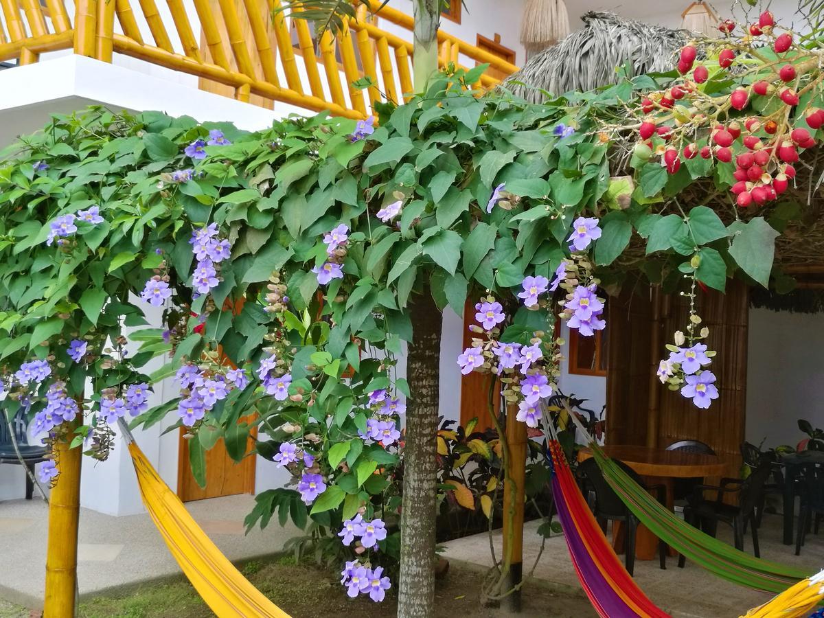 La Mariposa Hostal Olon Ngoại thất bức ảnh